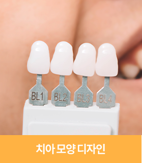 치아 모양 디자인