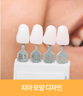 치아 모양 디자인