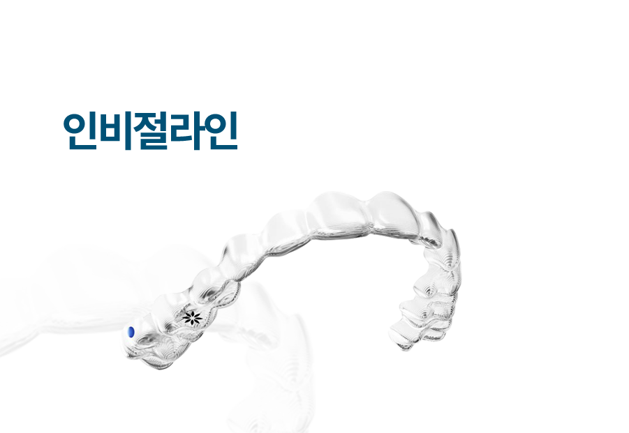 착탈 가능한 인비절라인